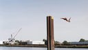 Ein Junge springt von einem hohen Pfeiler in den Kanal