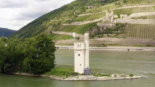 Ein alter weißer Burgturm auf einer kleinen Insel im Rhein, im Hintergrund Weinberge