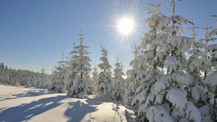 verschneite Winterlandschaft im Sonnenschein