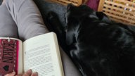 Ausgestreckte Beine auf dem Sofa mit Hund und Buch