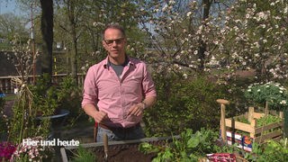 Markus Phlippen erklärt im Hier und heute Garten wie man Gemüse im Hochbeet gärtnert.