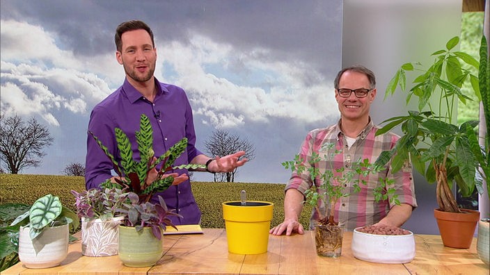 Moderator Sven Kroll und Gartenexperte Markus Phlippen im Hier und heute-Studio