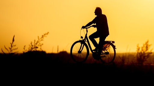 Radfahrer auf Radwegen