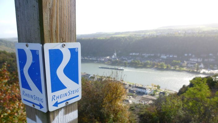Blick auf den Rheinsteig