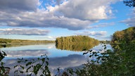 Ihre schönsten Fotos vom Herbstspaziergang