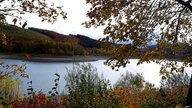 Ihre schönsten Fotos vom Herbstspaziergang