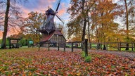 Ihre schönsten Fotos vom Herbstspaziergang