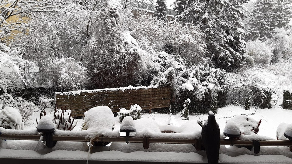 Ihre Schönsten Winterbilder - Hier Und Heute - Fernsehen - WDR