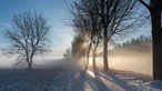 Ihre schönsten Winterspaziergänge