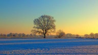 Ihre schönsten Winterspaziergänge