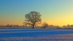 Ihre schönsten Winterspaziergänge