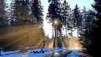 Ihre schönsten Winterspaziergänge