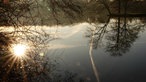 Ihre schönsten Winterspaziergänge