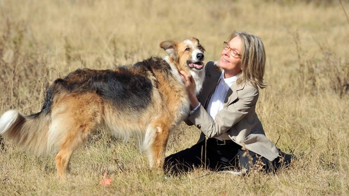 Für Beth (Diane Keaton) wird ihr Hund Freeway zu einem treuen und ständigen Begleiter.