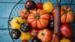 Blick von oben auf einen Korb mit verschiedenen Tomatensorten