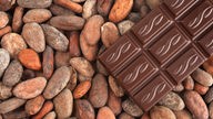 Zartbitterschokolade liegt auf Kakaobohnen