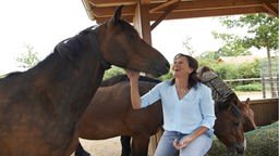 Annette Börger und drei Pferde an Futterstelle