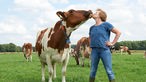 Birgit Schulte-Bisping küsst eine Kuh