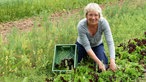 Christiane Thees erntet Salat. 