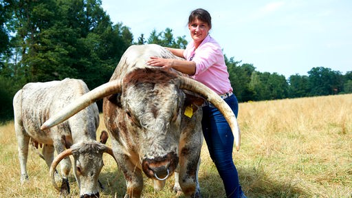 Elisabeth Bremehr streichelt ein Langhorn Rind. 