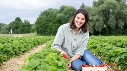 Inga Flachmeier pflückt Beeren vom Strauch. 