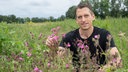 Jochen Kanders sitzt in einer blühenden Wiese. 