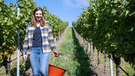 Kerstin Laufer in den Weinbergen. 