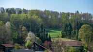 Blick auf den Woeste-Hof. 