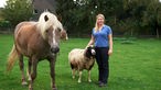 Theresa Leiders mit einem Pferd und einem Schaf. 