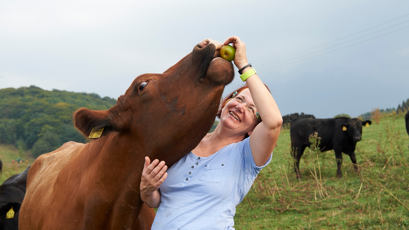 Finale Auf Dem Erlebnisbauernhof Im Sauerland Staffel 14 Zu Gast Bei Ulla Tigges Land Und Lecker Fernsehen Wdr