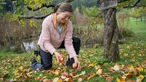 Wendy LeBlanc sammelt Äpfel auf. 