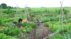 Freya Zandstra arbeitet mit anderen im Garten. 