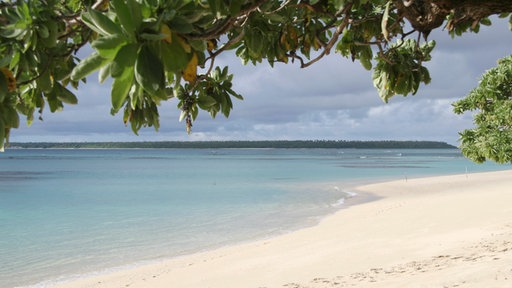 Blick auf einen menschenleeren Strand und das Meer, im Vordergrund hängen grüne Zweige ins Bild