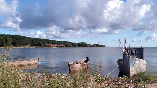 Kurisches Haff in der Nähe von Nida (Nidden), vorne Grasufer, dann Wasser mit drei festgemachten Holzboten, hinten bewaldete Landzunge, weiße Wolken an blauem Himmel