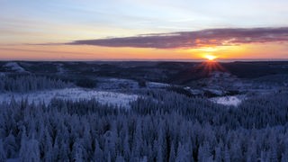 vorne verschneiter Nadelwald bei Dämmerlicht, dahinter Hügel und Wälder teils mit Schnee, knapp über dem Horizont die orange Sonne und oranger Himmel mit Schleierwolken