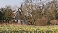 Eine Wiese voller gelber Narzissen vor einer weißen Kapelle mit dunklem Dach, dass umringt von Bäumen ohne Blätter ist.