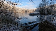 Der Mergelbergteich in Bönen ist zugefroren und die Sonne lässt den Frost in den Bäumen am Ufer glänzen.