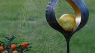 Spinnennetz an einer Dekokugel
