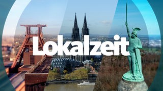 Screenshot: Logo Lokalzeit