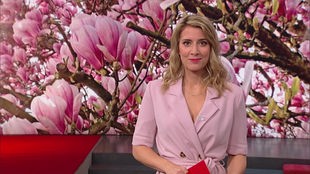 Das Bild zeigt Catherine Vogel im Markt-Fernsehstudio. Im Hintergrund sind Kirschblüten abgebildet. 