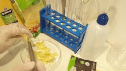 Das Bild zeigt den Gouda-Käse im Labortest