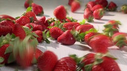 Spanische Erdbeeren —  giftig und Umweltsünde?