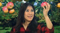 Montage: Mai Thi Nguyen-Kim pflückt einen Apfel