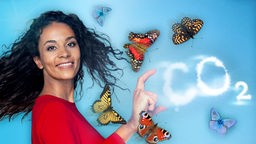 Montage: Florence Randrianarisoa mit Schmetterlingen