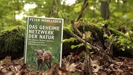 Buch "Das geheime Netzwerk der Natur" auf Waldboden