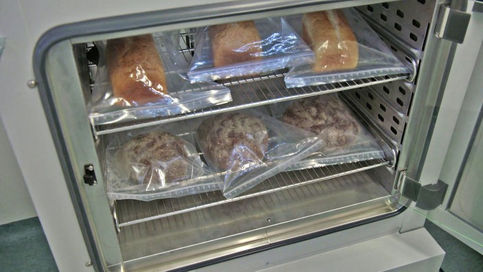 Brot im Kühlschrank