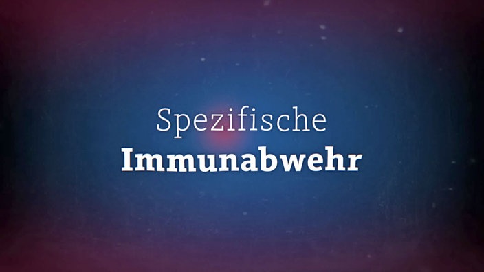 Grafik: Text "spezifische Immunabwehr"