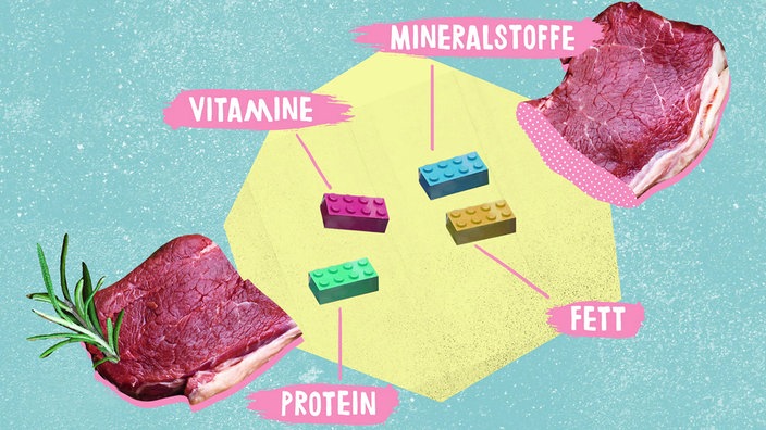 Grafik: Inhaltsstoffe Im Fleisch