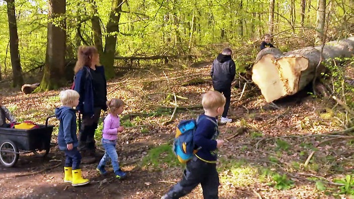 Kinder im Wald