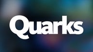 Quarks Logo